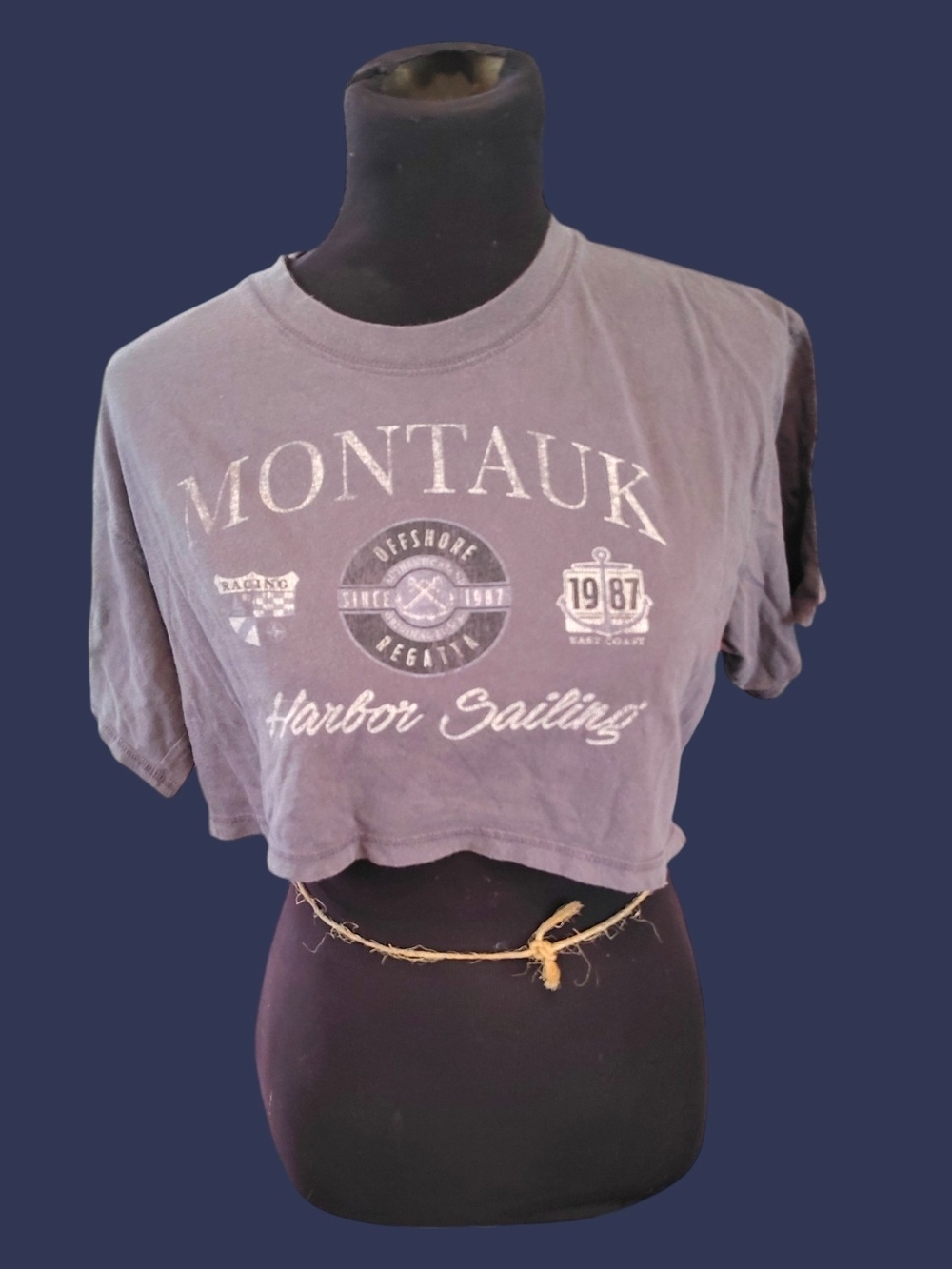 Aeropostale: The OG Tee Collection - Montauk Cropped Tee - Slate Gray